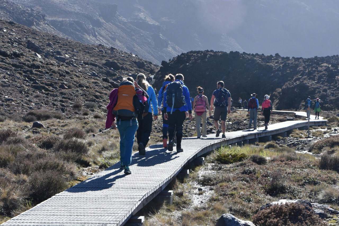 Tongario Alpine Crossing Holzplankenweg