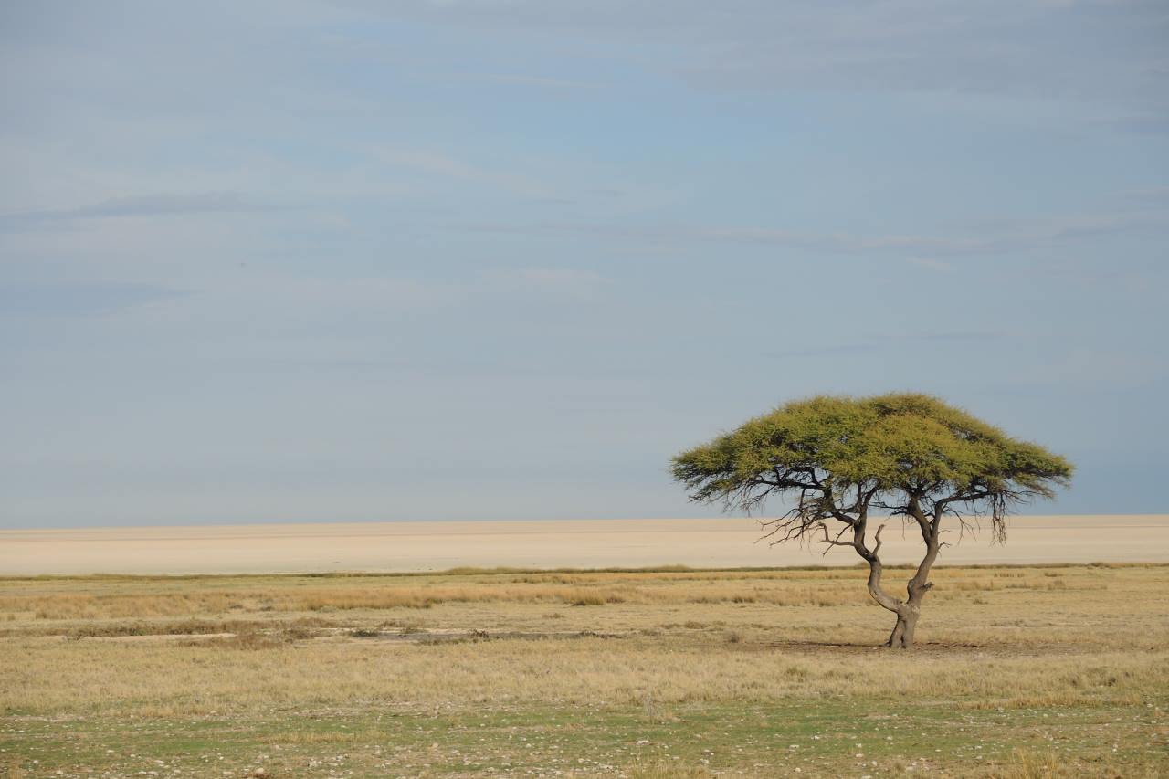 Etosha Pfanne