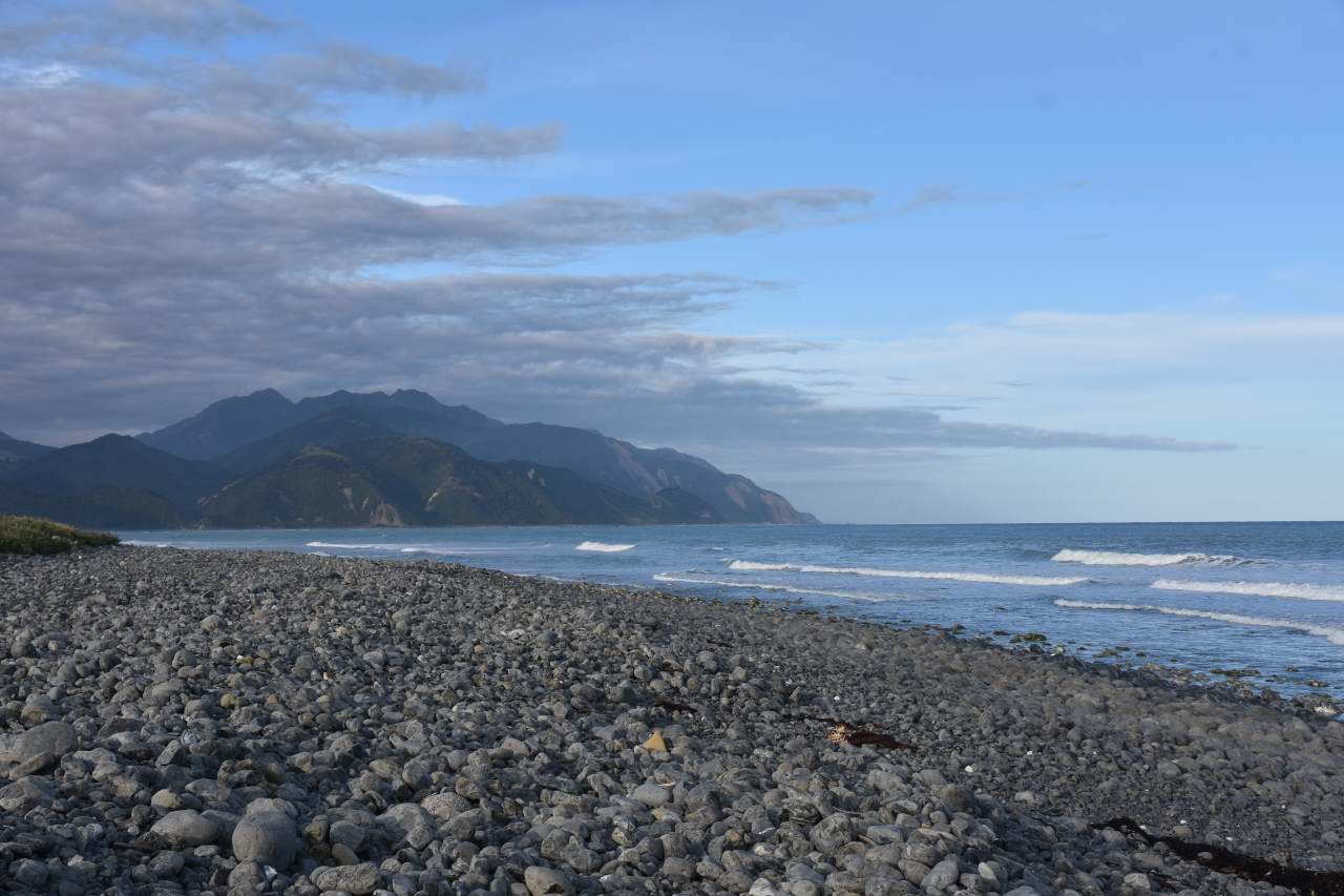 Hapuku (nach Kaikoura)