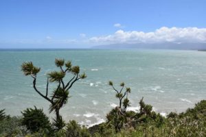 Aussicht nahe Cape Palliser