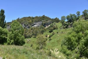 Waitomo Region Felsen