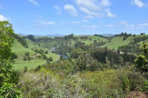 Waitomo Region Aussicht
