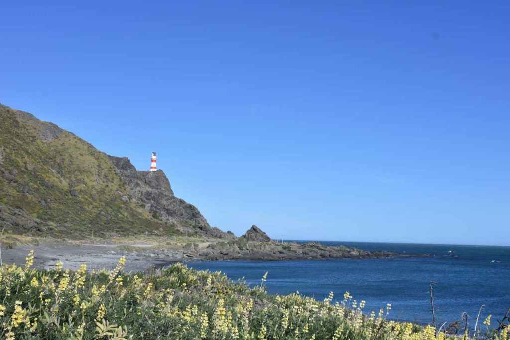Cape Palliser