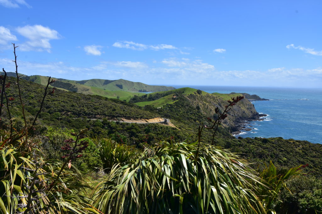 Coromandel Peninsula