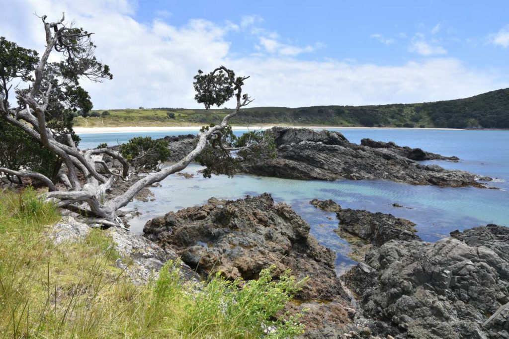 Maitai Bay