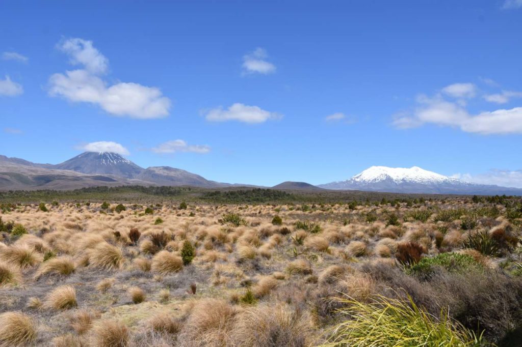 Tongariro Nationalpark