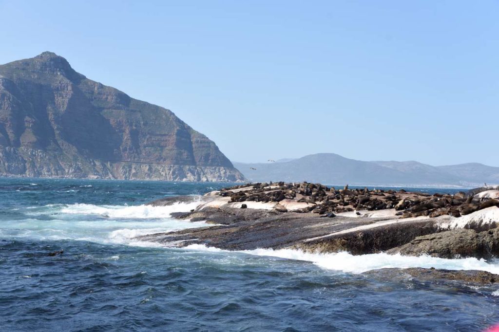 Duiker Island mit Chapman's Peak im Hintergrund