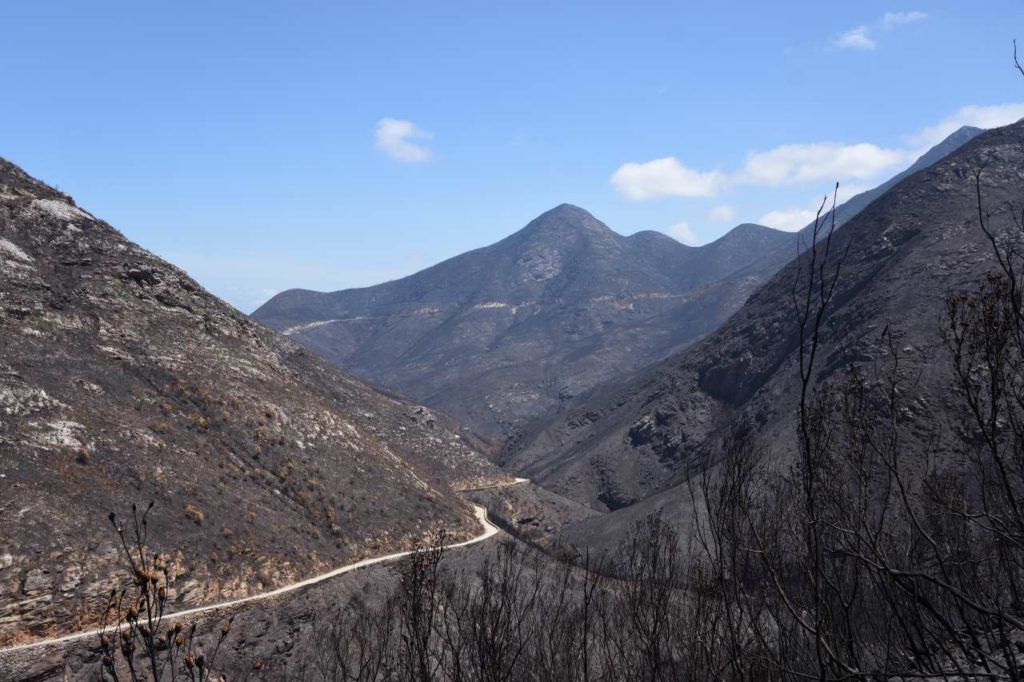 Montagu Pass nach Garden Route Fire 2018