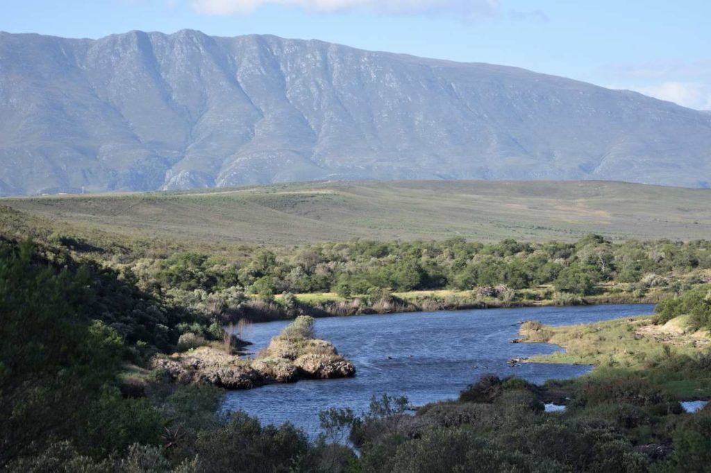 Bushbok Trail im Bontebok National Park