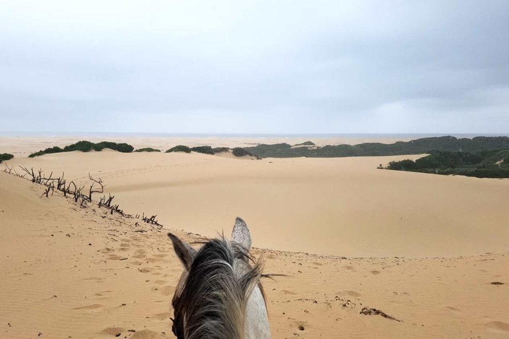 Blick über die Dünen beim Ausritt