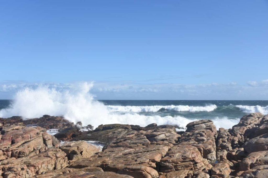 Felsen bei Cape St Francis