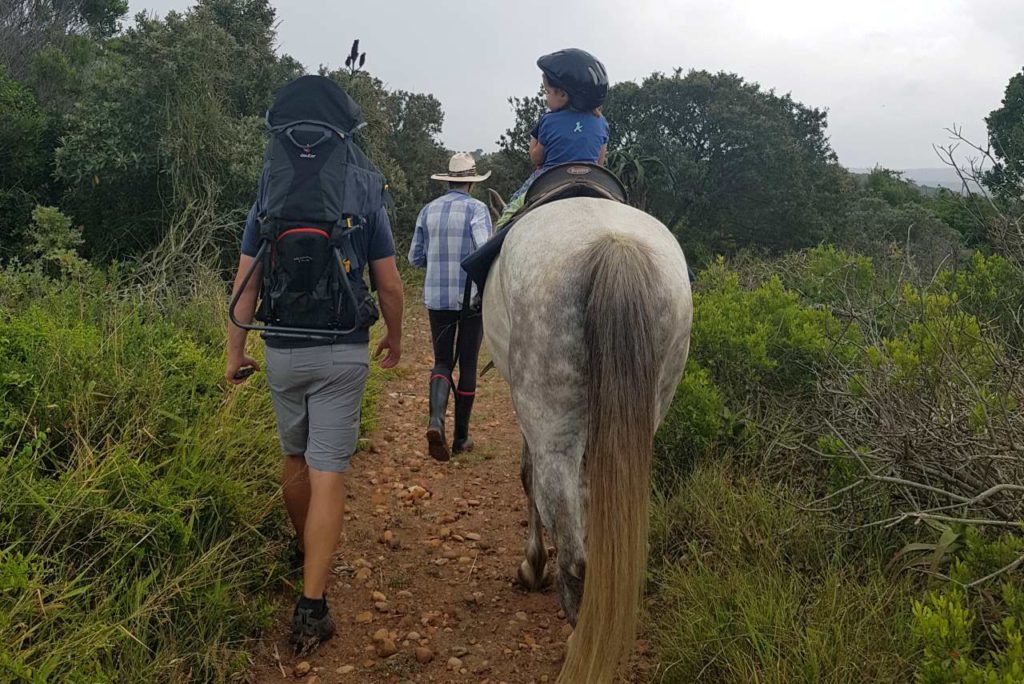 Ponyreiten auf einem Pferd