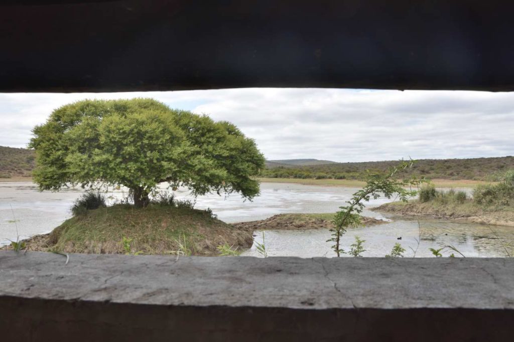 Kentucky Bird Hide im Great Fish River Nature Reserve