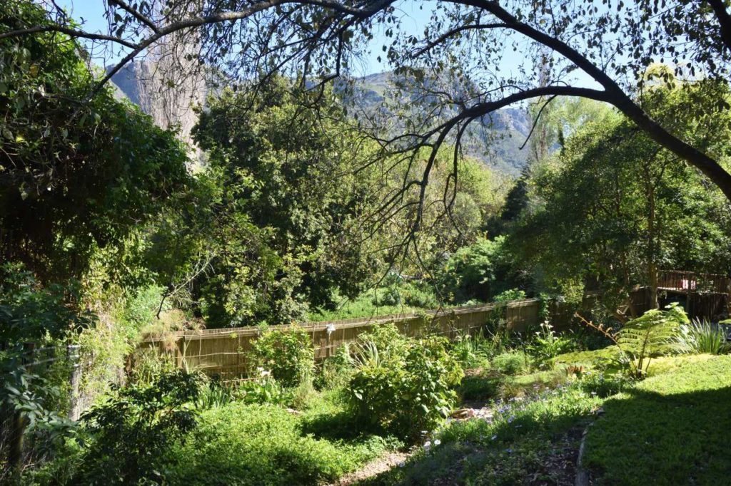 Garten des Tree House in Hout Bay