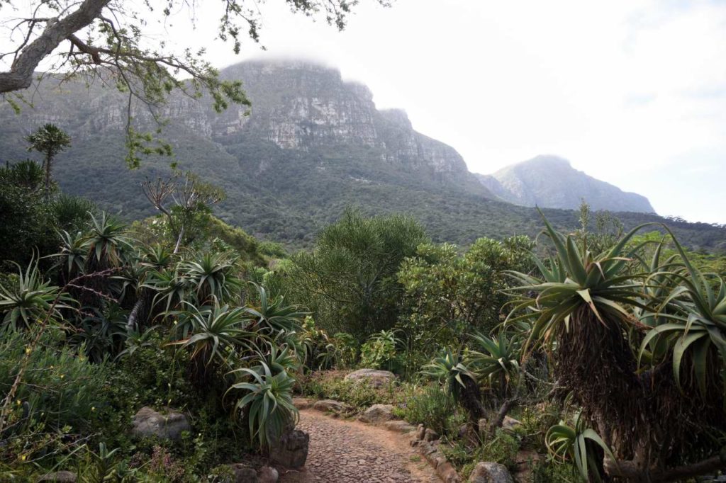 Botanischer Garten Kirstenbosch